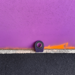 Spined "Royal Violet"